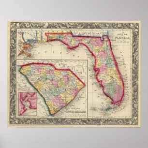 Póster Mapa Del Condado De Florida
