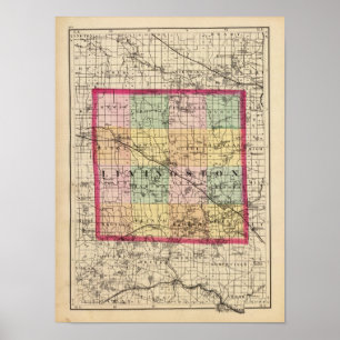 Póster Mapa del condado de Livingston, Michigan