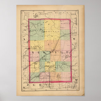Póster Mapa del condado de Newaygo, Michigan
