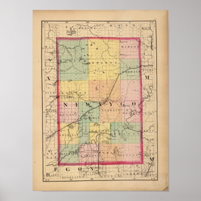 Póster Mapa del condado de Newaygo, Michigan (Frente)