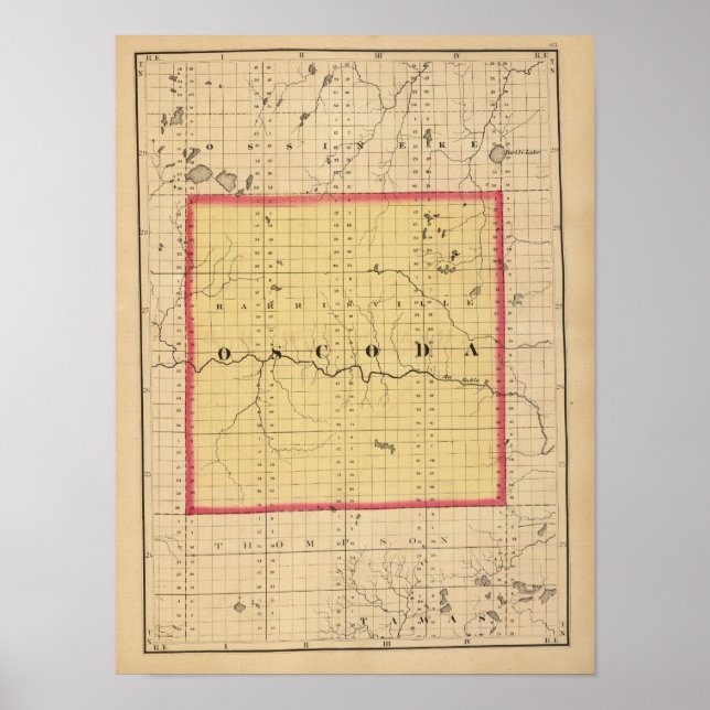 Póster Mapa del condado de Oscoda, Michigan (Frente)