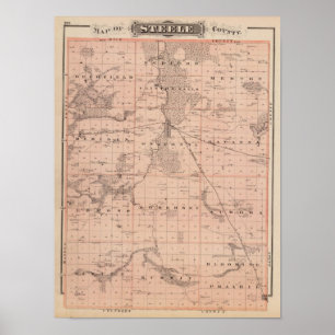 Póster Mapa del condado de Steele, Minnesota