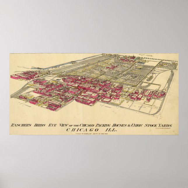 Póster Mapa del distrito Meatpacking de Chicago en 1890 (Frente)