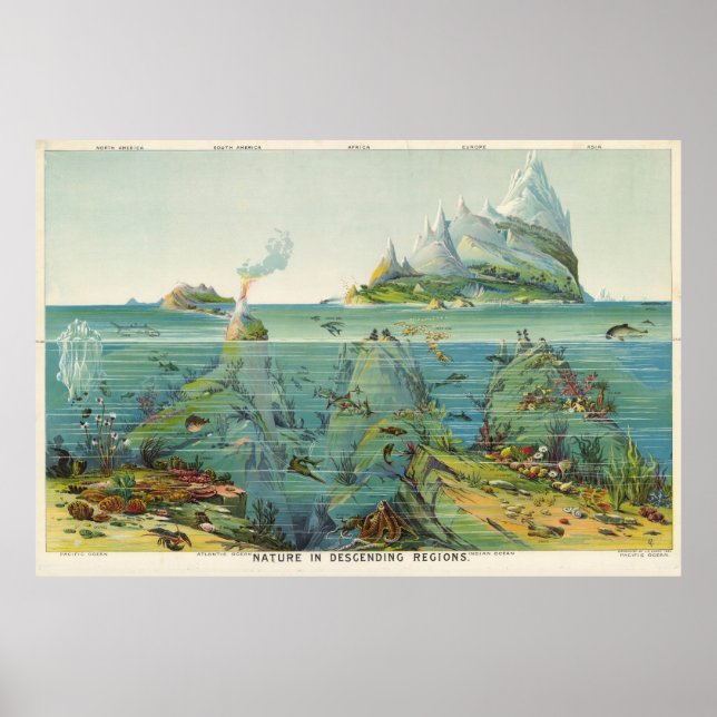 Póster Mapa del ecosistema mundial de imágenes antiguas ( (Frente)