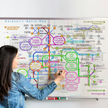 Mapa del metro de la ruta metabólica