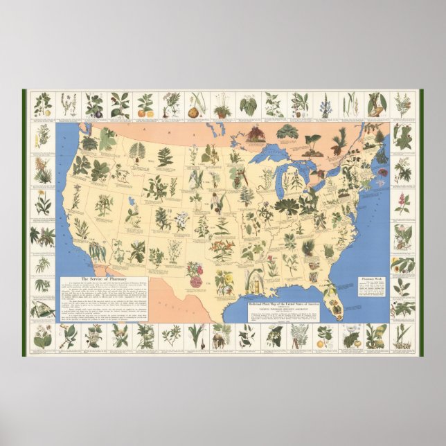 Póster Mapa del poster de Recursos Herbales (Frente)