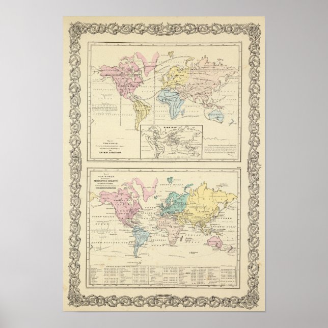 Póster Mapa en color del mundo (Frente)