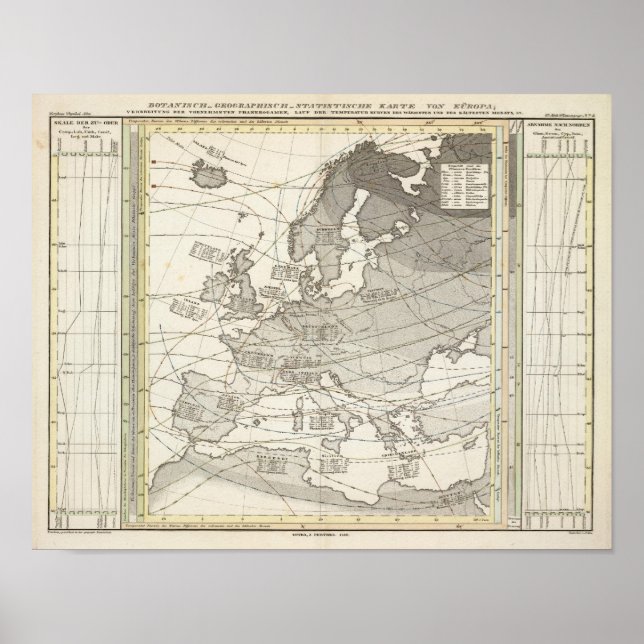 Póster Mapa estadístico geográfico botánico de Europa (Frente)