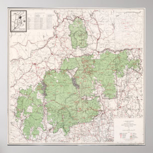 Póster Mapa forestal nacional de las Montañas Blancas Vin