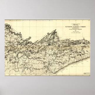 Póster Mapa forestal nacional superior de 1920