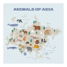 Mapa ilustrado de animales de Asia