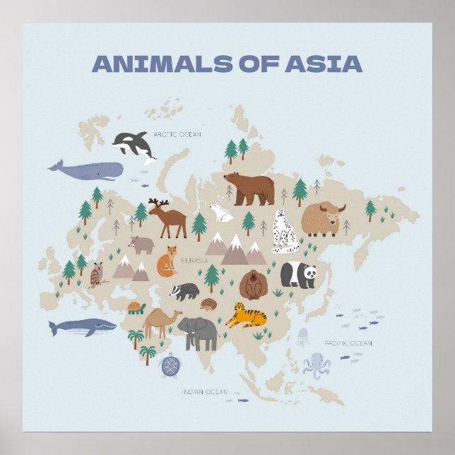 Póster Mapa ilustrado de animales de Asia (Frente)