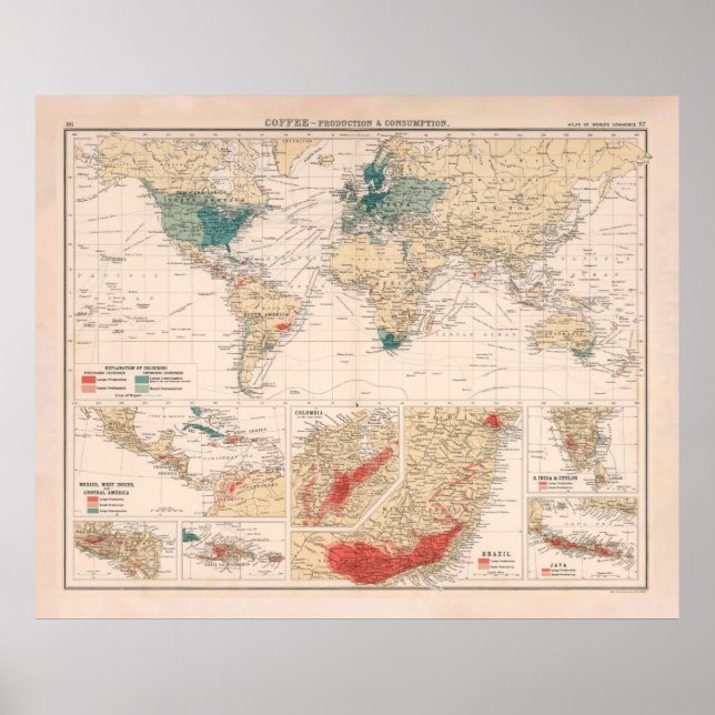 Póster Mapa Mundial de la Agricultura y el Consumo del Ca (Frente)