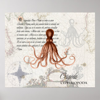 Póster Mapa náutico del Ilustracion del pulpo rojo vintag