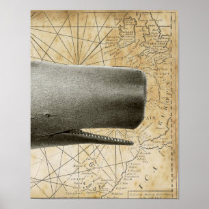Póster Mapa Náutico Vintage Sperm Whale Parte3