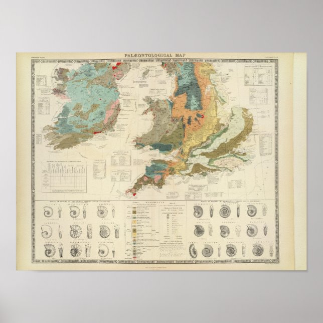 Póster Mapa paleontológico de las Islas Británicas (Frente)