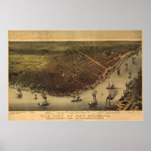 Póster Mapa Panorámico de Nueva Orleans de 1885, LA Birds