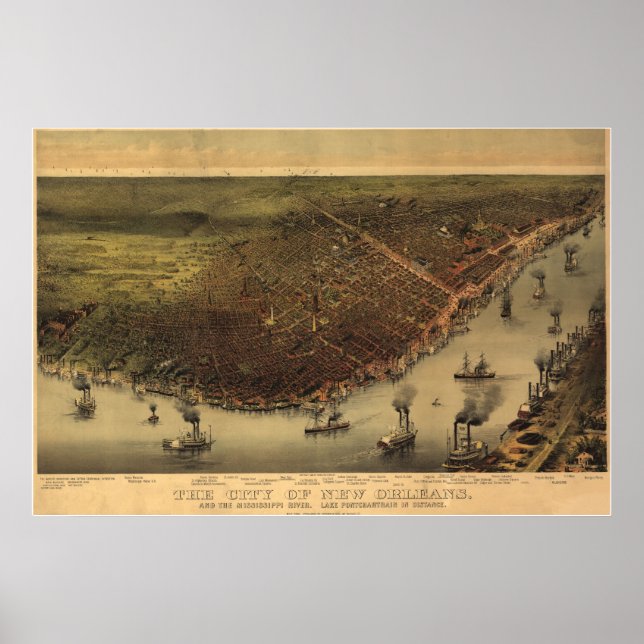 Póster Mapa Panorámico de Nueva Orleans de 1885, LA Birds (Frente)