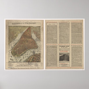 Póster Mapa Panorámico de Nueva York 1879, NY Birds View