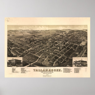 Póster Mapa pictórico vintage de Tallahassee FL (1885)