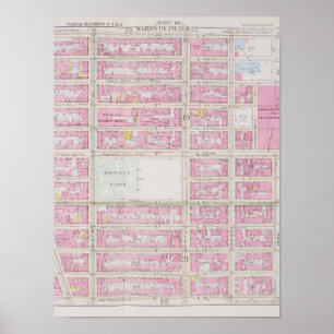 Póster Mapa rosa con parque Bryant