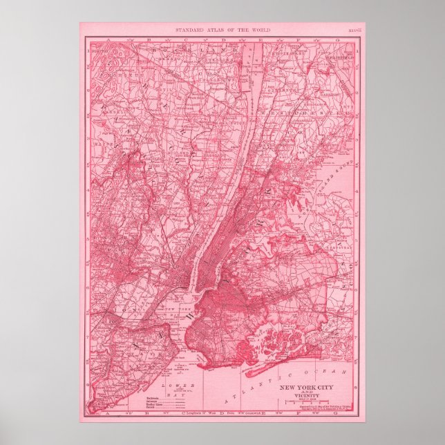 Póster Mapa rosa de la ciudad de Nueva York (Frente)