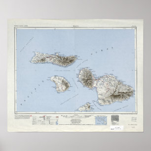 Póster Mapa topográfico de Maui Hawaii