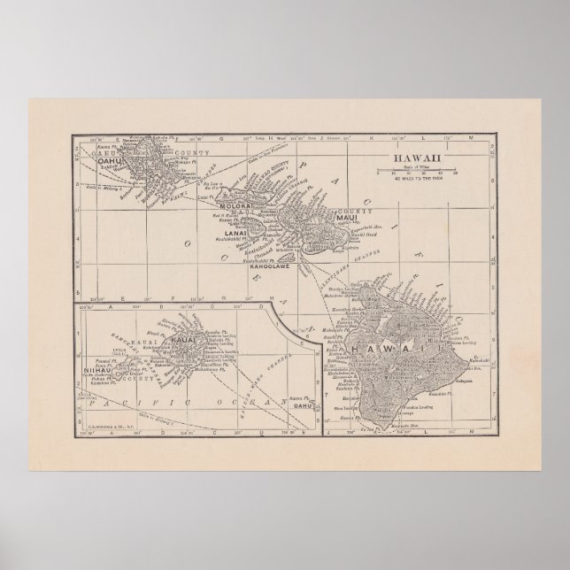 Póster Mapa vintage de Hawaii (Frente)