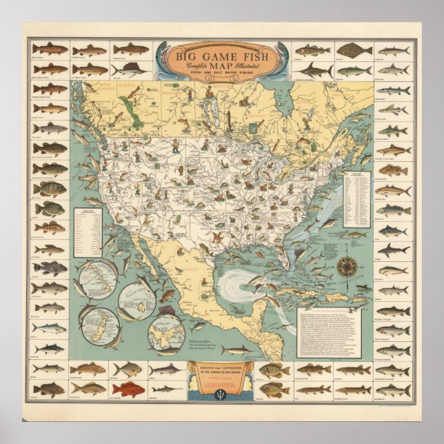Póster Mapa vintage de peces de Estados Unidos (Frente)
