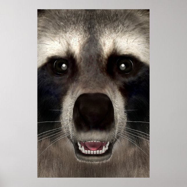 Póster Mapache (Frente)