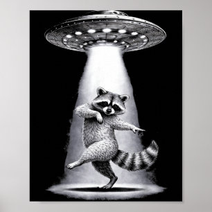 Póster Mapache alienígena realiza un baile tonto de meme