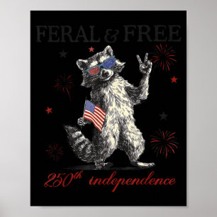 Póster Mapache asilvestrado pero bandera del 250 aniversa