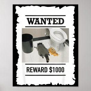 Póster Mapache Borracho Divertido Recompensa Deseada $100