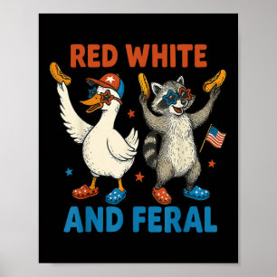 Póster Mapache Divertido Feral Rojo Blanco Y Ganso Tonto