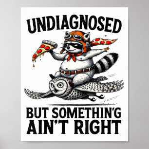 Póster Mapache Divertido Zza Búho Sin Diagnosticar Algo N