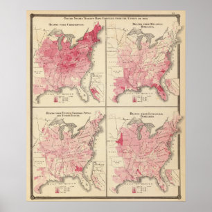 Póster Mapas de vitalidad de Estados Unidos