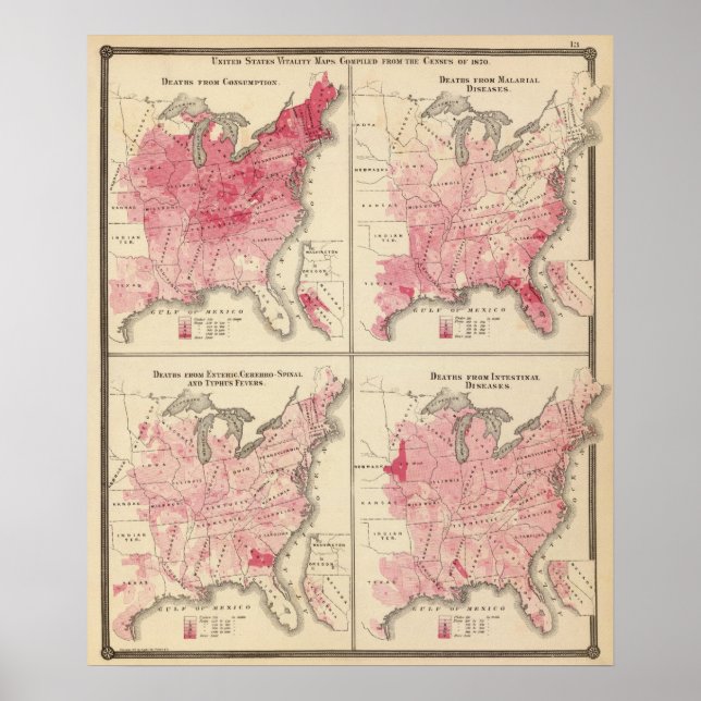 Póster Mapas de vitalidad de Estados Unidos (Frente)