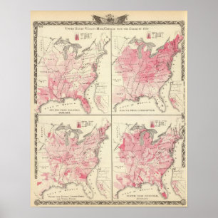 Póster Mapas de vitalidad de Estados Unidos