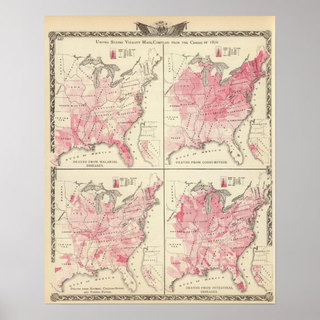 Póster Mapas de vitalidad de Estados Unidos (Frente)