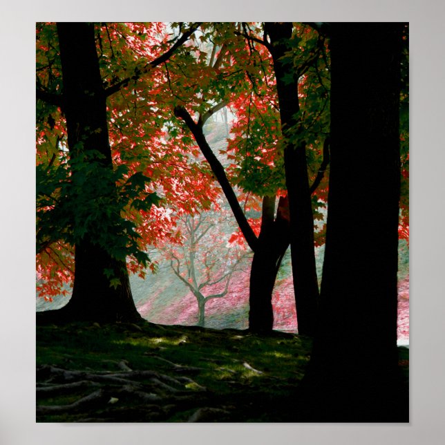 Póster Maple (Frente)