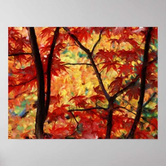 Póster Maple japonés (Frente)