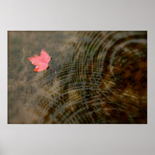 Póster Maple rojo flotante
