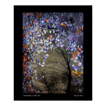 Maples mixtos en un estanque de otoño