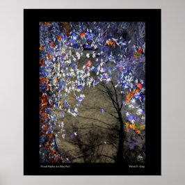 Póster Maples mixtos en un estanque de otoño