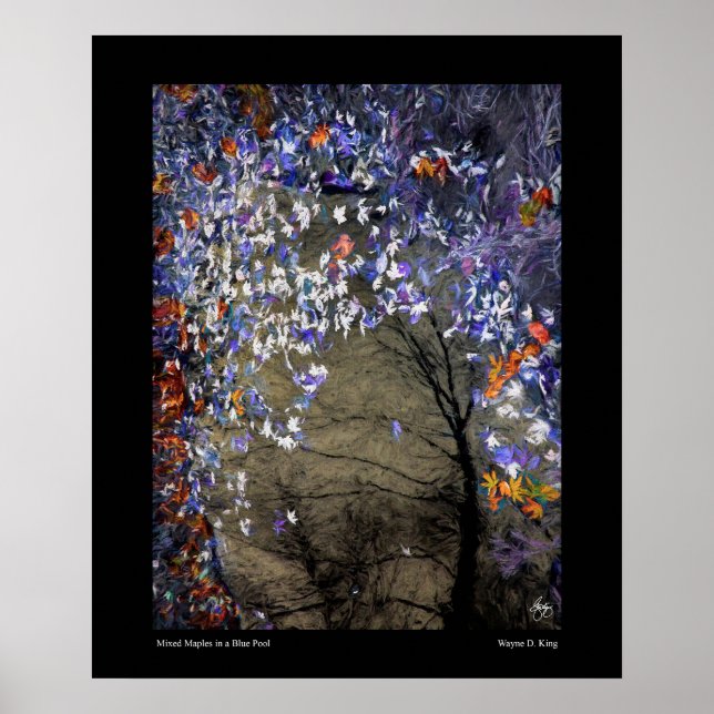 Póster Maples mixtos en un estanque de otoño (Frente)