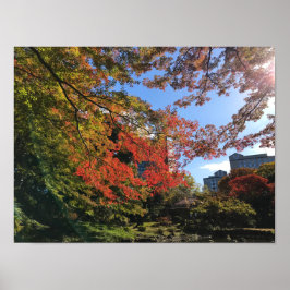 Póster Maples rojos en el jardín japonés