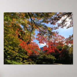 Póster Maples rojos en el jardín japonés