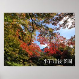 Póster Maples rojos en el jardín japonés