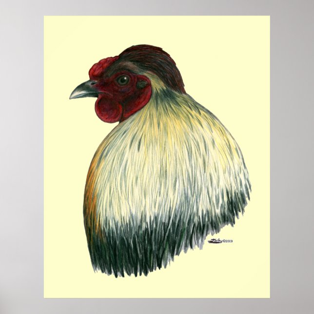 Póster Mapuche Huastec Rooster (Frente)