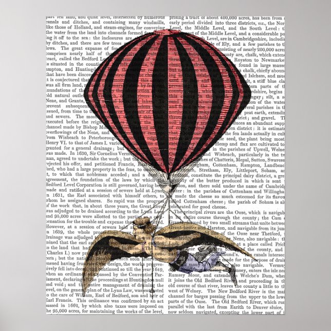 Póster Máquina Voladora de Vintage (Frente)